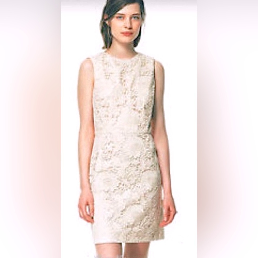 Zara Sleeveless Open Back Crochet Lace Mini Sheath Dress